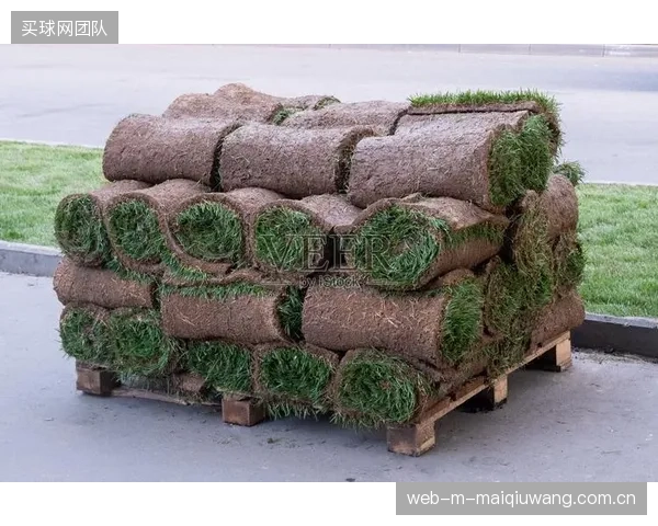 拉斯维加斯阿勒吉安特体育场利用重达9500吨的可移动草坪托盘，将草坪移至室外接受自然光照，解决了封闭场馆和沙漠气候下的草坪养护难题